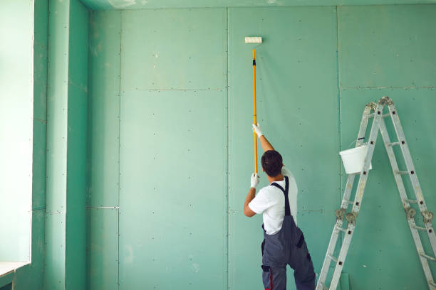 Best Mold Damage Restoration  in Hamshire, TX