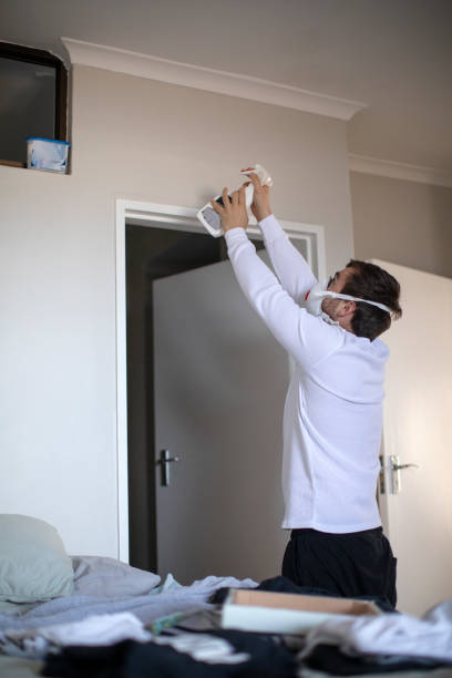 Environmental Consulting for Mold Prevention in Hamshire, TX