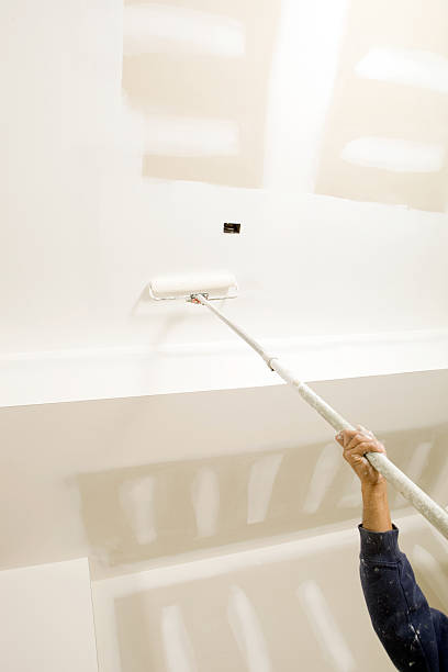 Best Industrial Mold Remediation  in Hamshire, TX