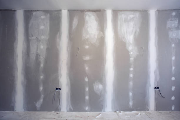 Trusted Hamshire, TX Mold Removal Experts