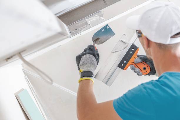 Best Residential Mold Inspection & Testing  in Hamshire, TX